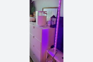 Screenshot 2022-07-26 094203