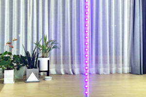 Screenshot 2022-07-26 093846